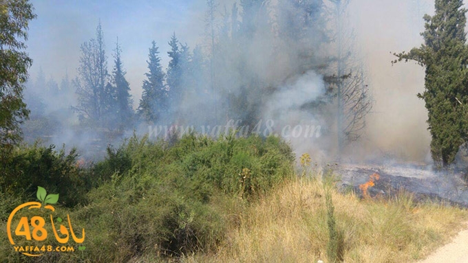 fire lud a7rash (1).jpg